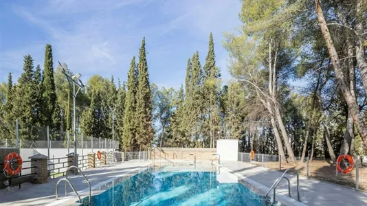 Apartments in Granada - photo 4