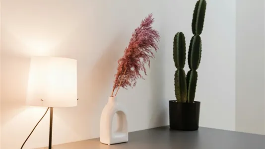 Rooms in Location is not specified - photo 2