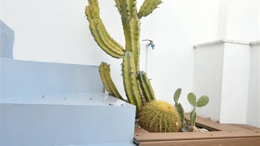 Apartments in Valencia Ciutat Vella - photo 6