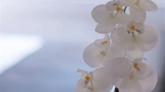 Apartments in Location is not specified - photo 9