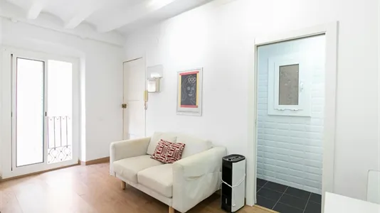 Apartments in Barcelona Ciutat Vella - photo 4