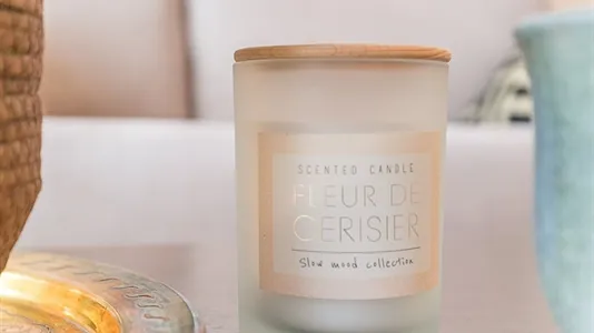 Apartments in Dijon - photo 5