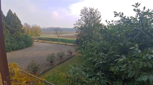 Apartments in Calderara di Reno - photo 9