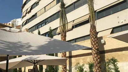 Apartment for rent in Valencia Ciutat Vella, Valencia (region)