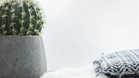 Apartments in Stad Brussel - photo 9