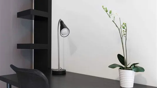 Rooms in Milano Zona 3 - Porta Venezia, Città Studi, Lambrate - photo 1