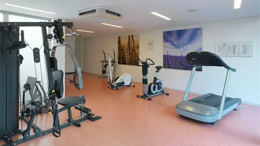 Apartments in Dresden - photo 8