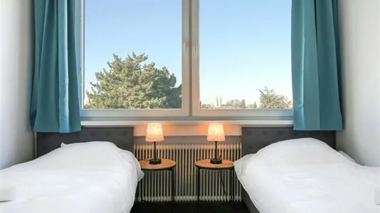 Apartments in Bad Fischau-Brunn - photo 9