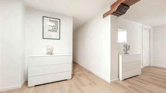 Rooms in Padua - photo 8