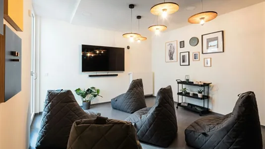 Apartments in Dresden - photo 7