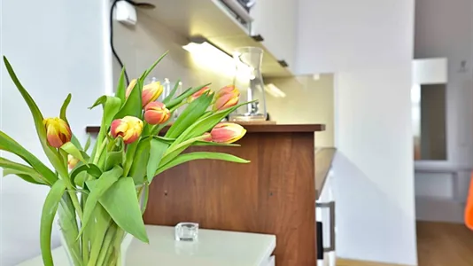 Apartments in Łódź - photo 8