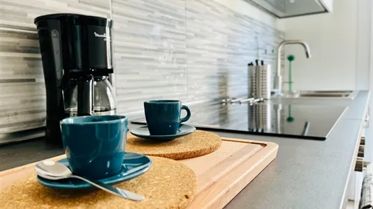 Rooms in Padua - photo 7