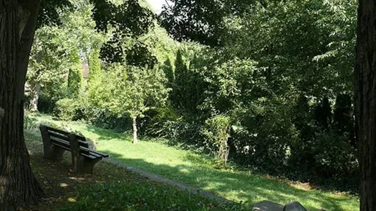 Apartments in Saxon Switzerland-Eastern Ore Mountains - photo 4