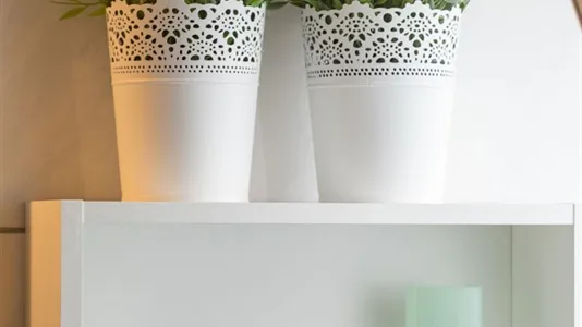 Apartments in Cologne Innenstadt - photo 9