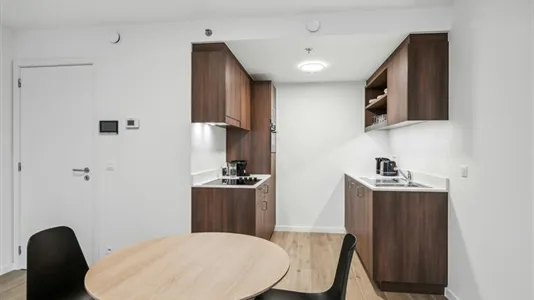 Apartments in Stad Brussel - photo 7