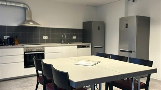 Rooms in Darmstadt - photo 7