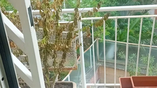 Rooms in Roma Municipio XII – Monte Verde - photo 1