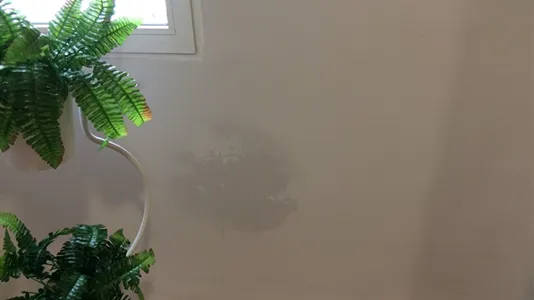 Rooms in Valencia Algirós - photo 6