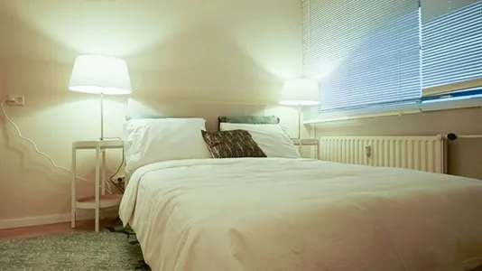 Apartments in Schiedam - photo 4