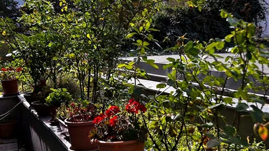 Rooms in Vienna Favoriten - photo 7