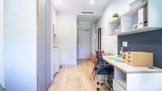 Apartments in Enramadilla - photo 4