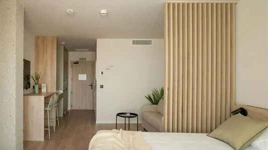 Apartments in Altsasu/Alsasua - photo 3