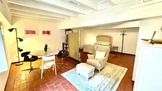Apartments in Florence - photo 1