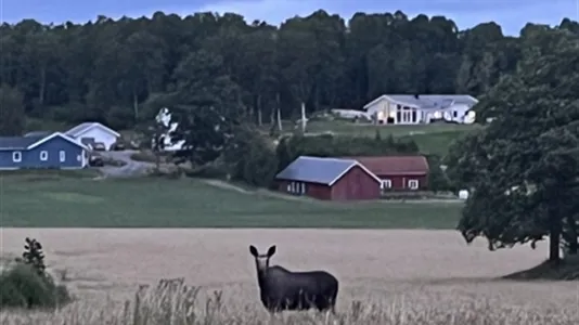 Houses in Kungsbacka - photo 12