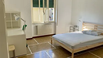 Room for rent in Pisa, Toscana