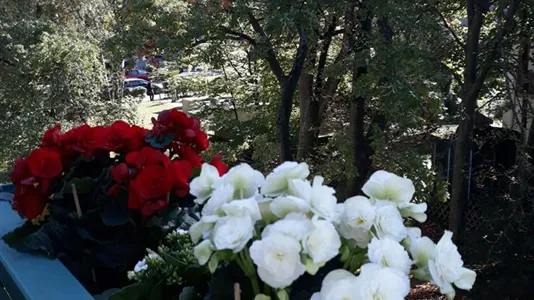 Rooms in Location is not specified - photo 2