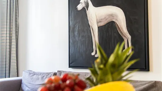 Apartments in Vienna Brigittenau - photo 9