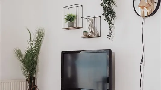 Apartments in Wien Mariahilf - photo 5