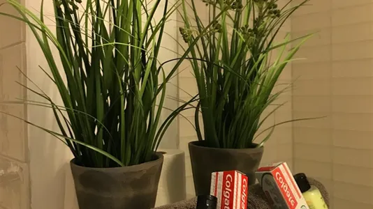 Apartments in Dusseldorf - photo 9