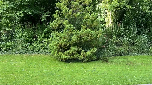 Apartments in Aachen - photo 8