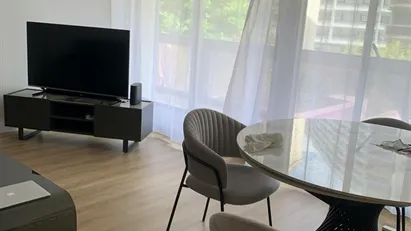 Apartment for rent in Paris 15ème arrondissement, Paris