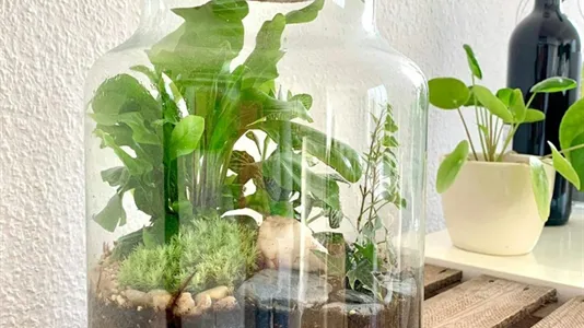 Apartments in Berlin Friedrichshain-Kreuzberg - photo 7