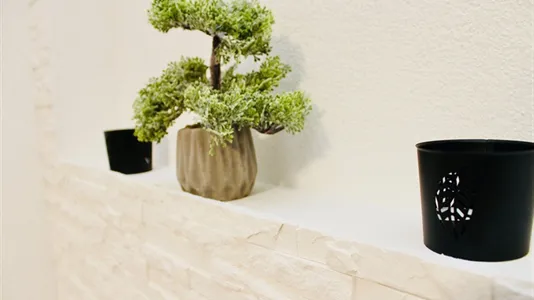 Apartments in Ulm - photo 10