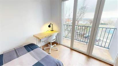Room for rent in Mulhouse, Grand Est
