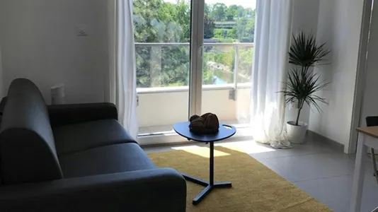 Apartments in Strasbourg - photo 5