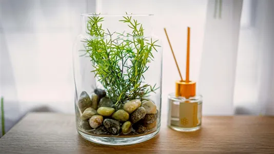 Apartments in Perchtoldsdorf - photo 8