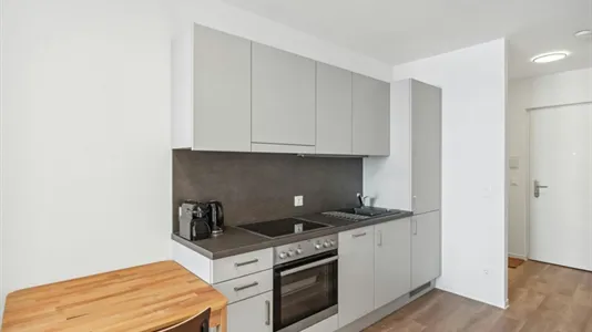 Apartments in Graz - photo 4