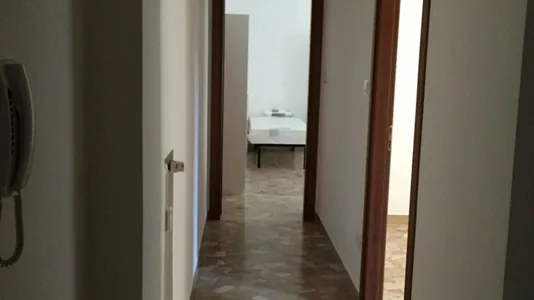 Rooms in Bologna - photo 7