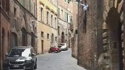 Rooms in Siena - photo 8