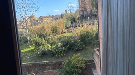 Apartments in Siena - photo 10