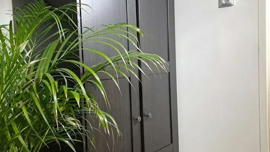 Houses in Delft - photo 9