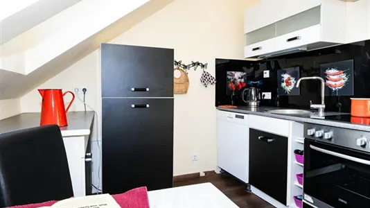 Apartments in Bonn - photo 7