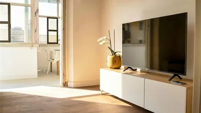 Room for rent in Padua, Veneto