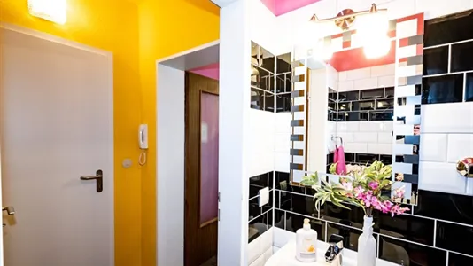 Apartments in Bonn - photo 10