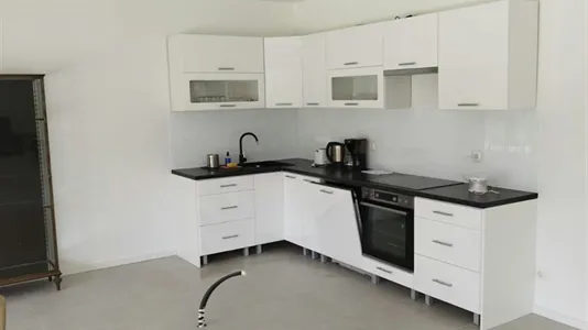 Houses in Langenzersdorf - photo 6