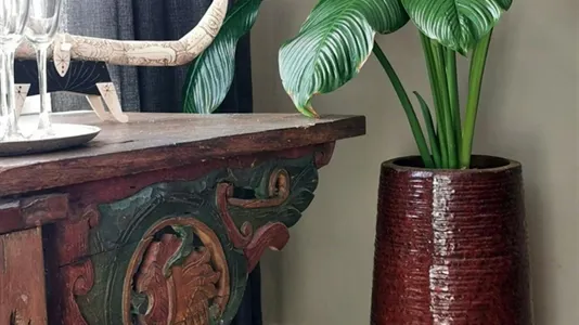 Houses in Teguise - photo 7